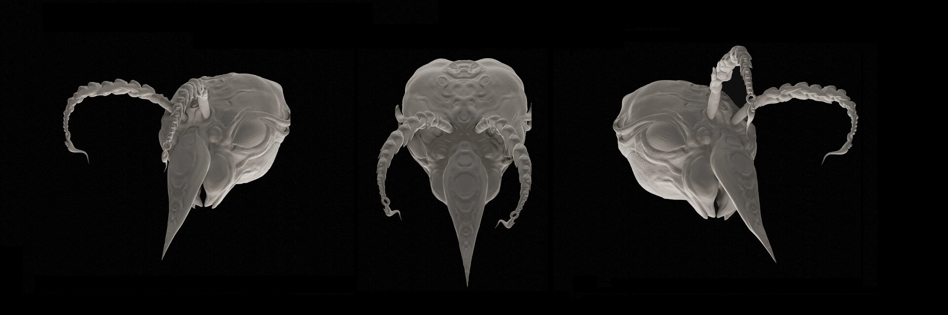 Ajna, Creature sculpt · Insect · Clay render — image 4 of 5