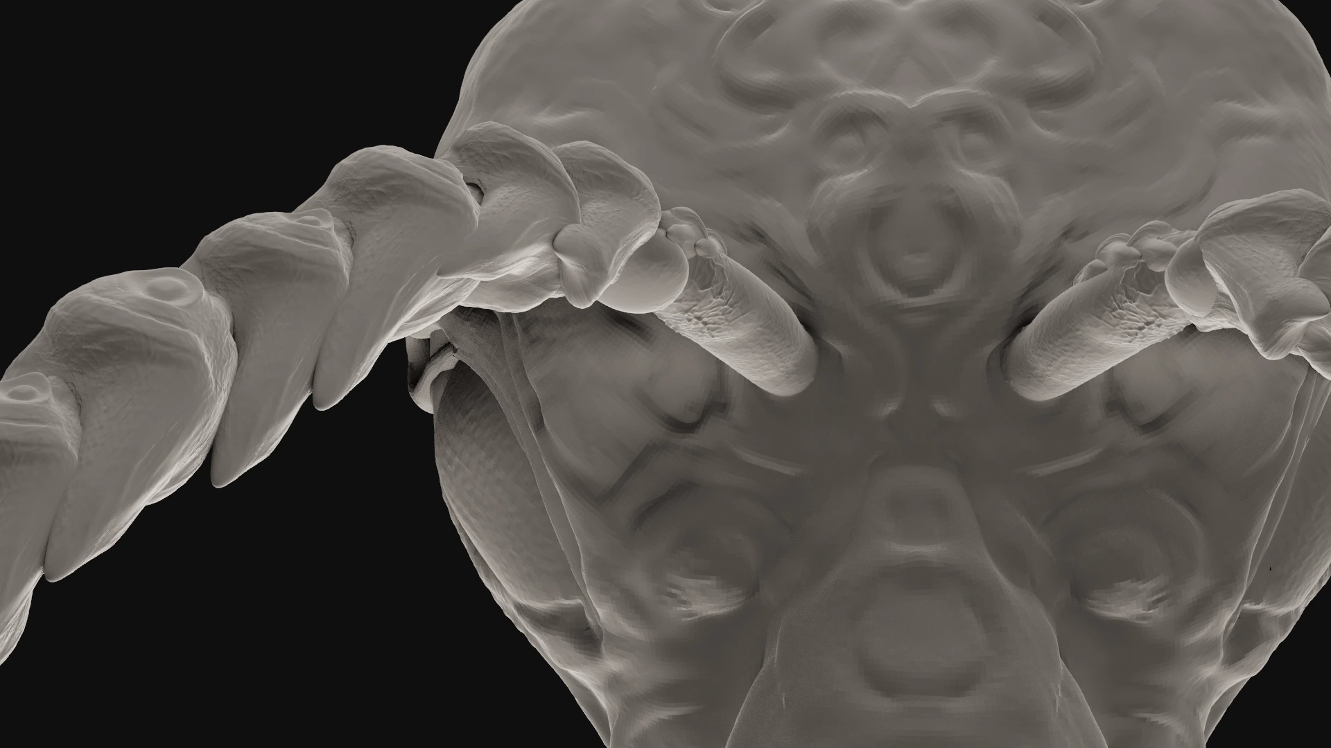 Ajna, Creature sculpt · Insect · Clay render — image 5 of 5