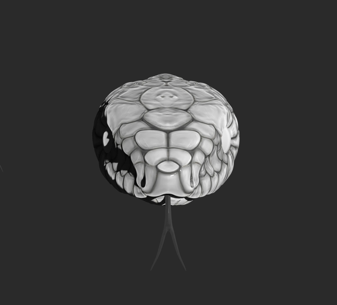 Serpent, Creature study · Scales · Surfacing — image 2 of 6