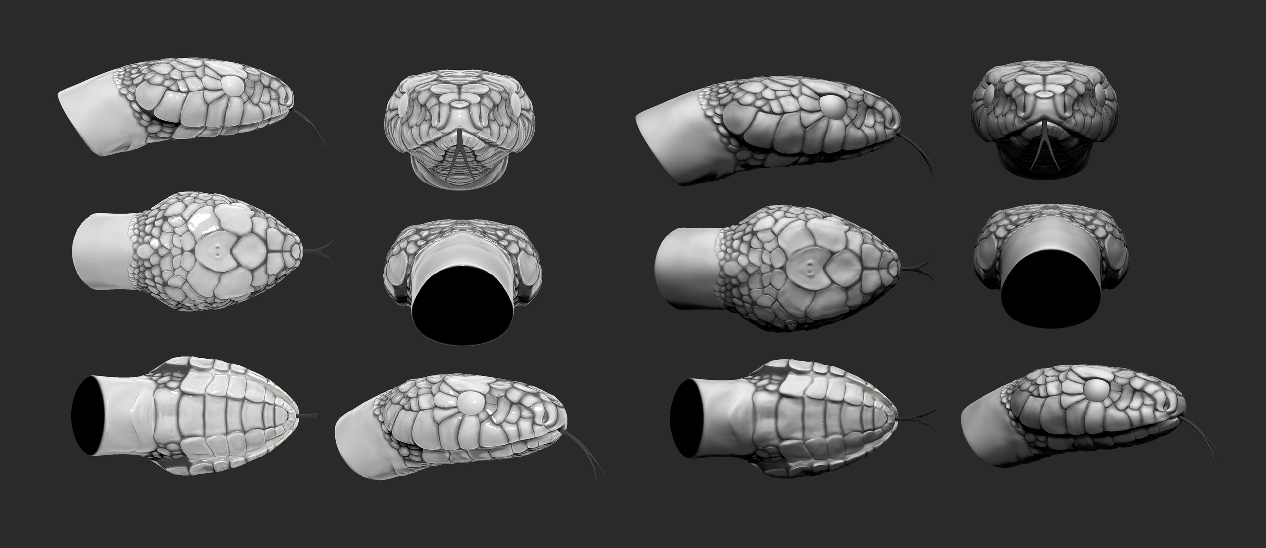 Serpent, Creature study · Scales · Surfacing — image 4 of 6