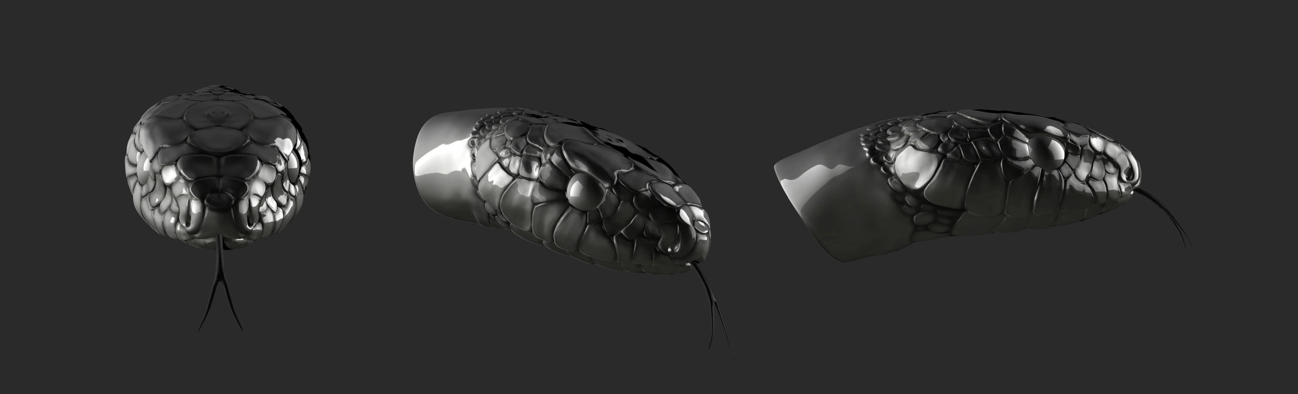 Serpent, Creature study · Scales · Surfacing — image 5 of 6