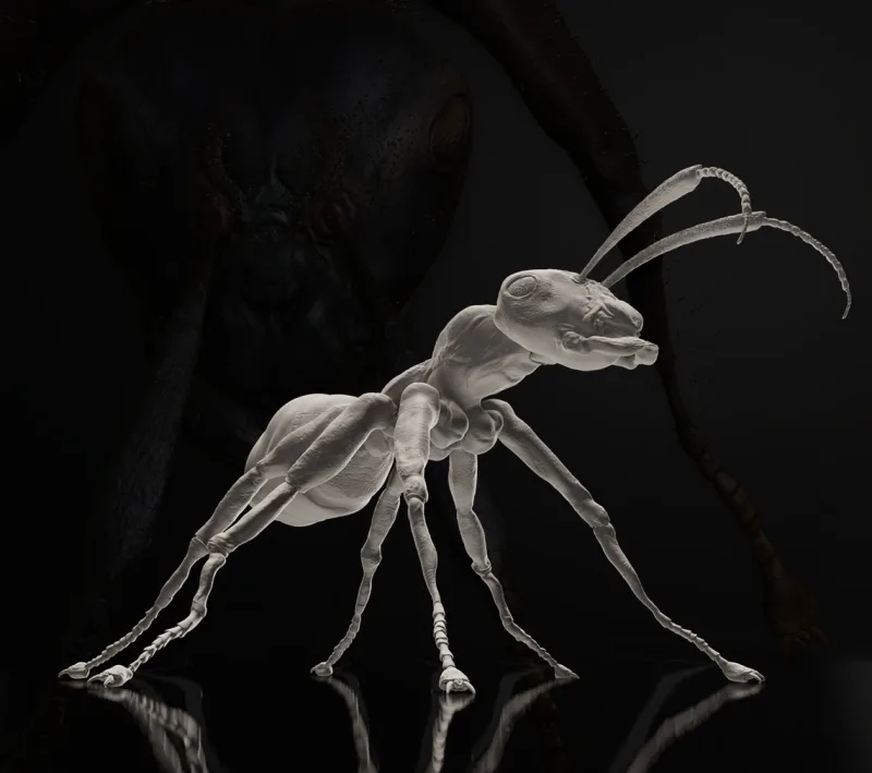 Formica — Creature sculpt · Insect · Anatomy